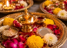 Aarthi plates